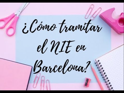 Todo lo que necesitas saber sobre la comisaría de Guipúzcoa en Barcelona para trámites con el NIE